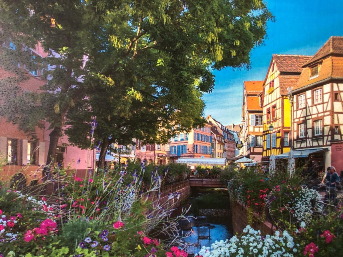Quiet Corner Apartment Colmar Exterior foto